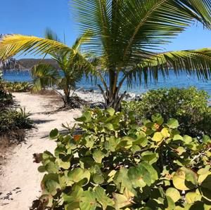 Meet your Posher, Brigitte